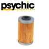 Filtro de Aceite PSYCHIC KTM/HUSQVARNA