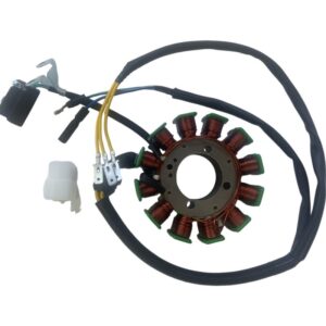 Estator 12 Bobinas HAYPO CG-200/250 (Trifásico)