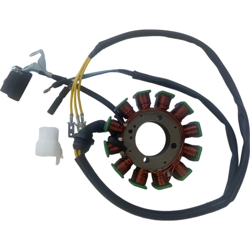 Estator 12 Bobinas HAYPO CG-200/250 (Trifásico) - Imagen 4