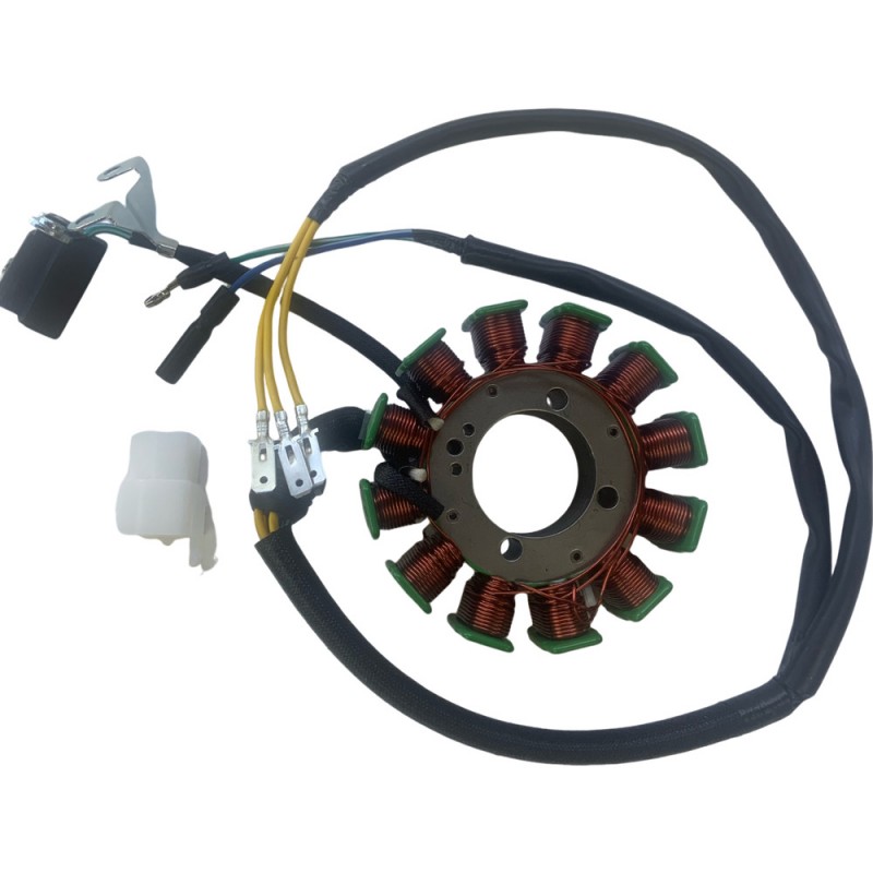 Estator 12 Bobinas HAYPO CG-200/250 (Trifásico)