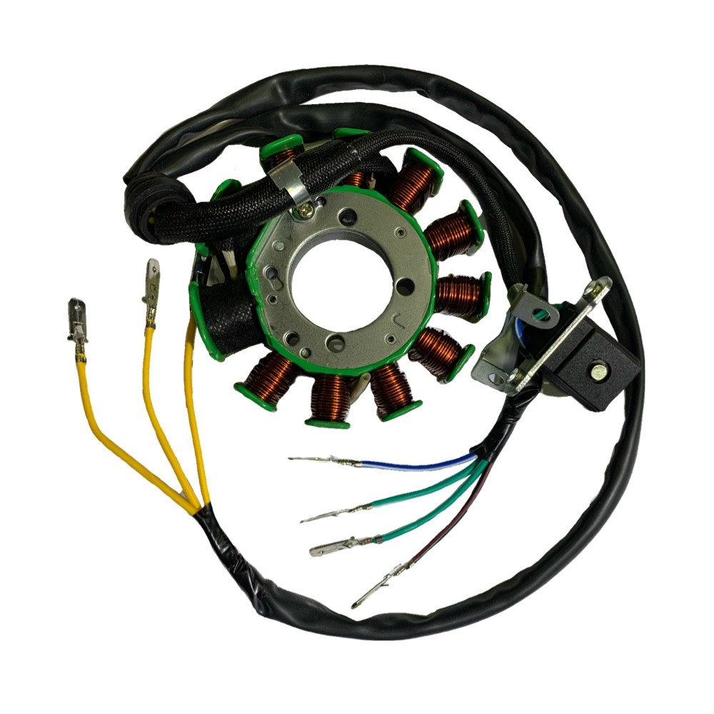 Estator 11 Bobinas Trifásico HAYPO CG-200 (3 Pernos)