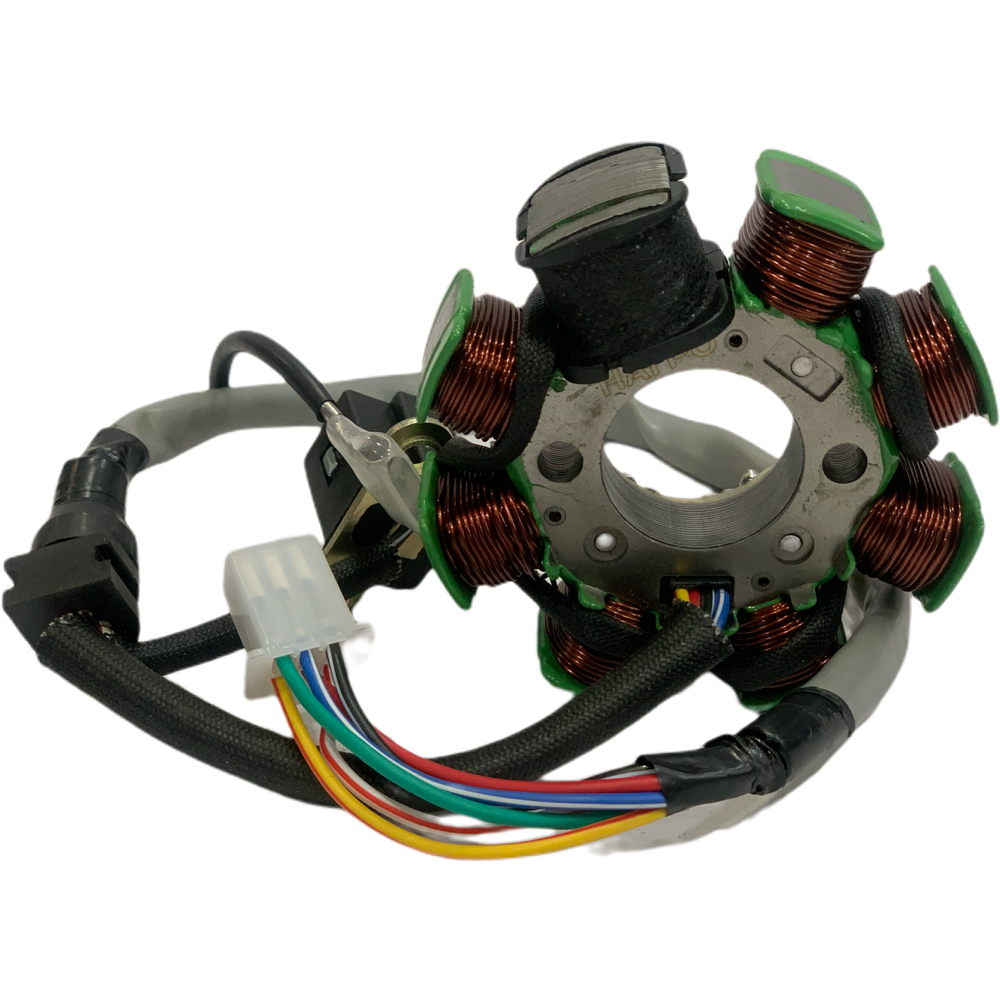 Estator 8 Bobinas HAYPO Motorrad TTX-150 - Imagen 2