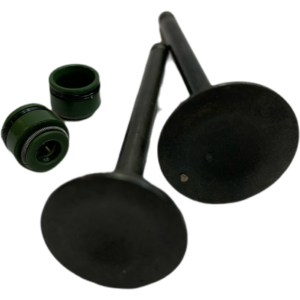 Válvulas HAYPO Express 100/Bicimoto CD-100