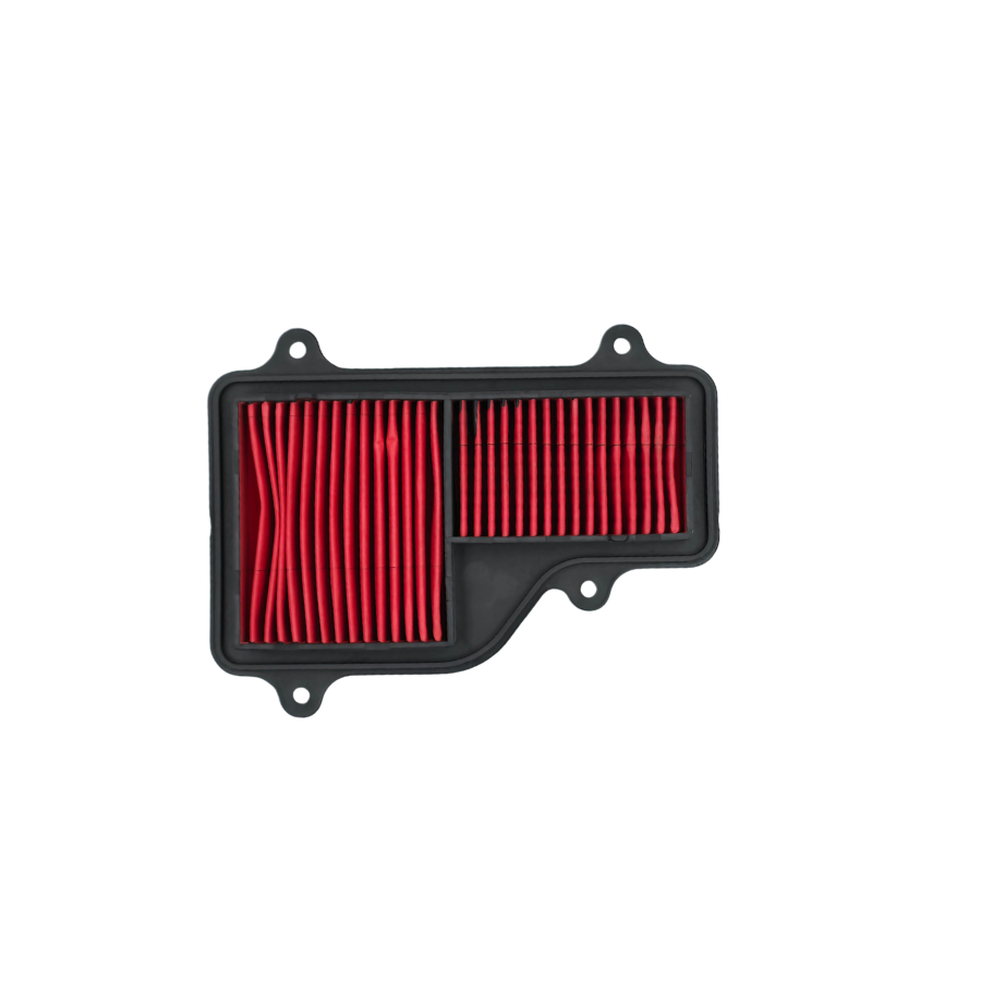 Filtro de Aire PROTECH Haojue TR-150S