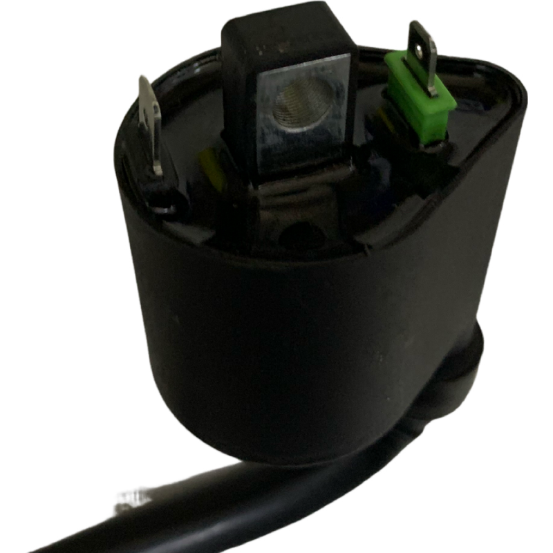 Bobina de Alta HAYPO Haojue DR-160 - Imagen 2