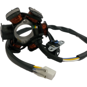 Estator 6 Bobinas HAYPO Scooter GY6-125 (2 Pernos)