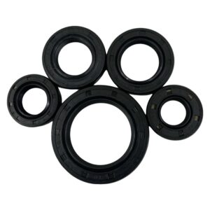 Kit Retenes de Motor PROTECH CG-125/150