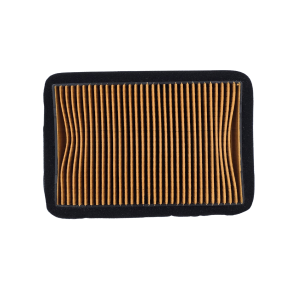 Filtro de Aire PROTECH Benelli Leoncino-500/502C