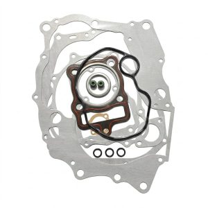 Empaquetadura Completa HAYPO CG-200